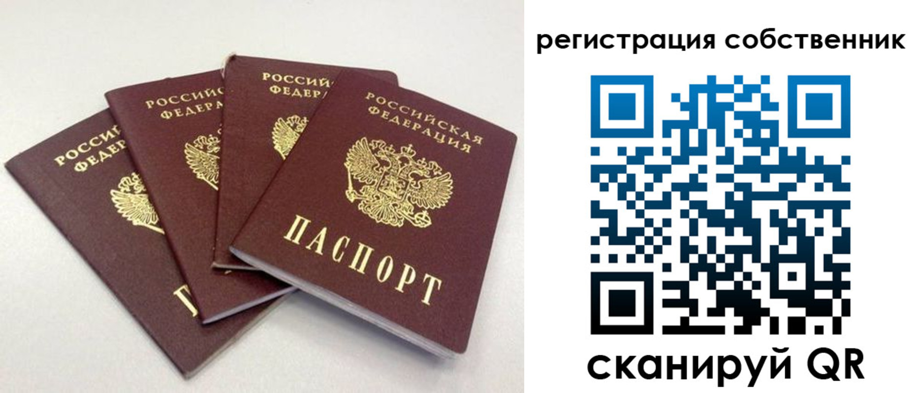 прописка для школы в Электрогорске